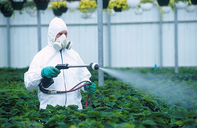 Nanopesticidai: naujas sprendimas ar nauja grėsmė? 