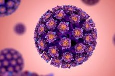 Hpv 39 Tipo Virusas Moterims Ir Vyrams Simptomai Gydymas Kompetentiskai Apie Sveikata Ilive