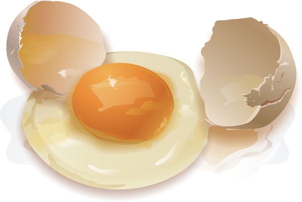 kiaušinių dietos veiksmas